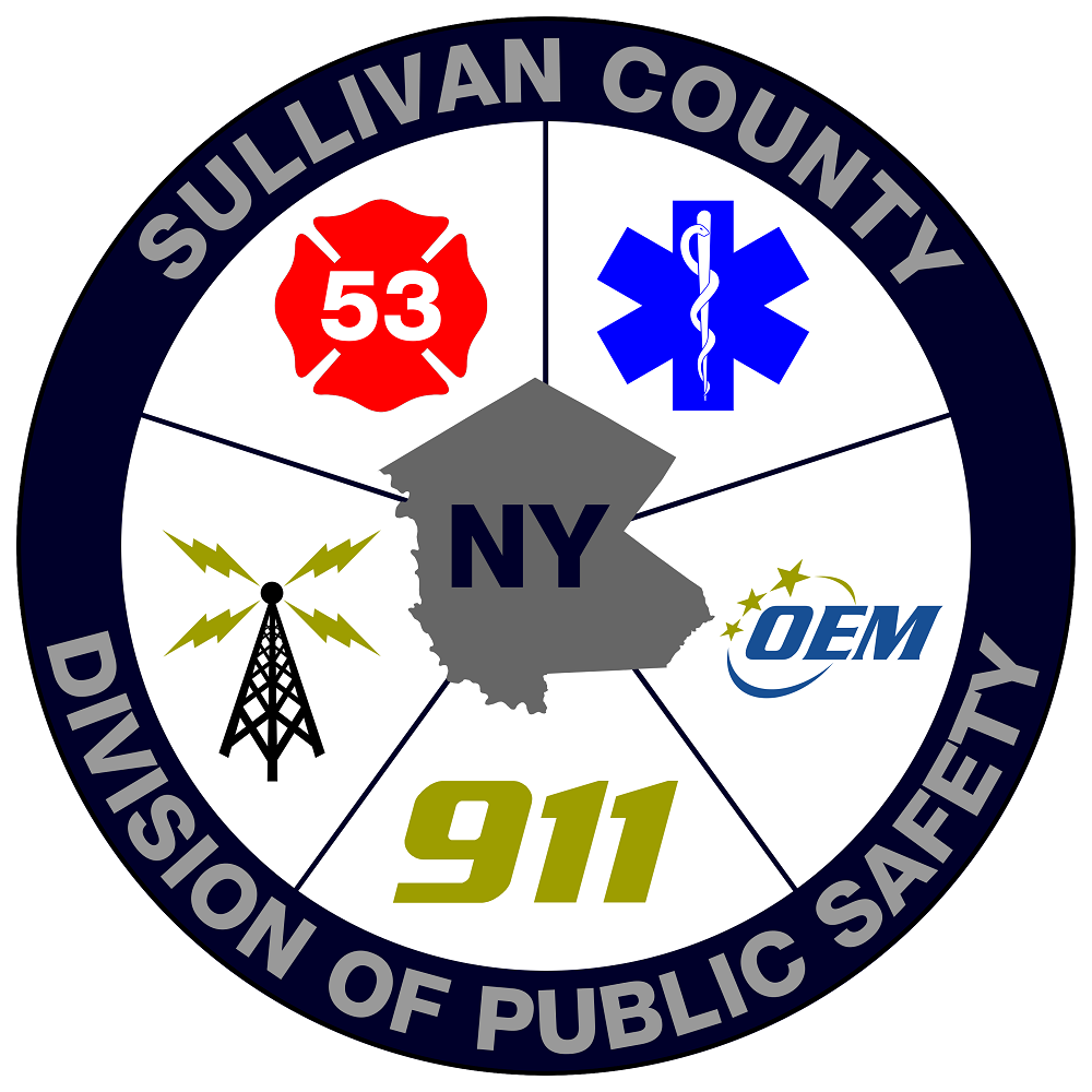 Division of Public Safety Logo