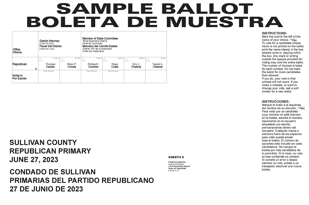 Neversink EDs - Primary Election 2023