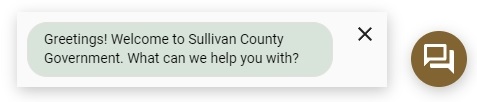 Sullivan County's Virtual Agent