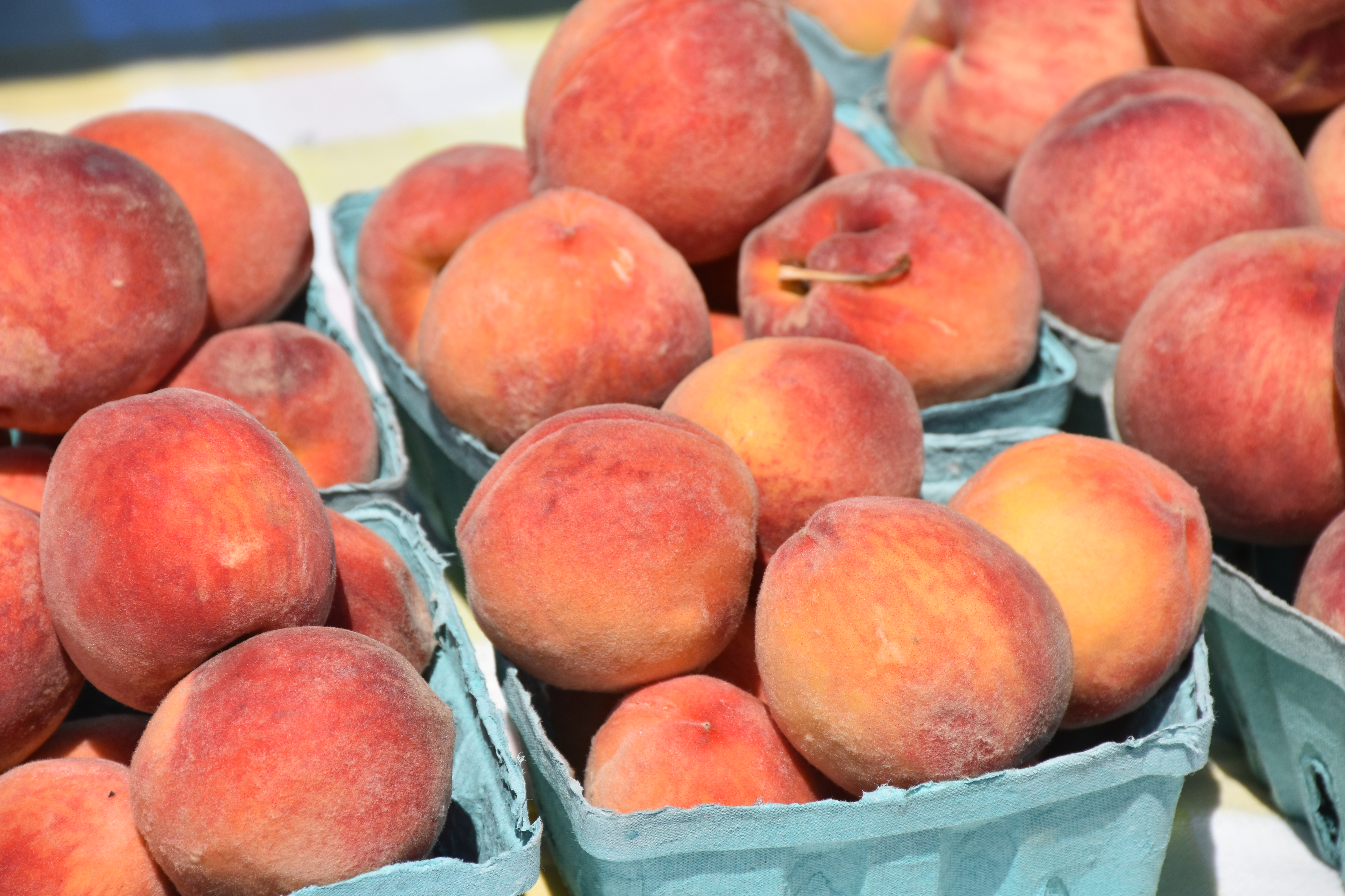 Farmer's Market peaches
