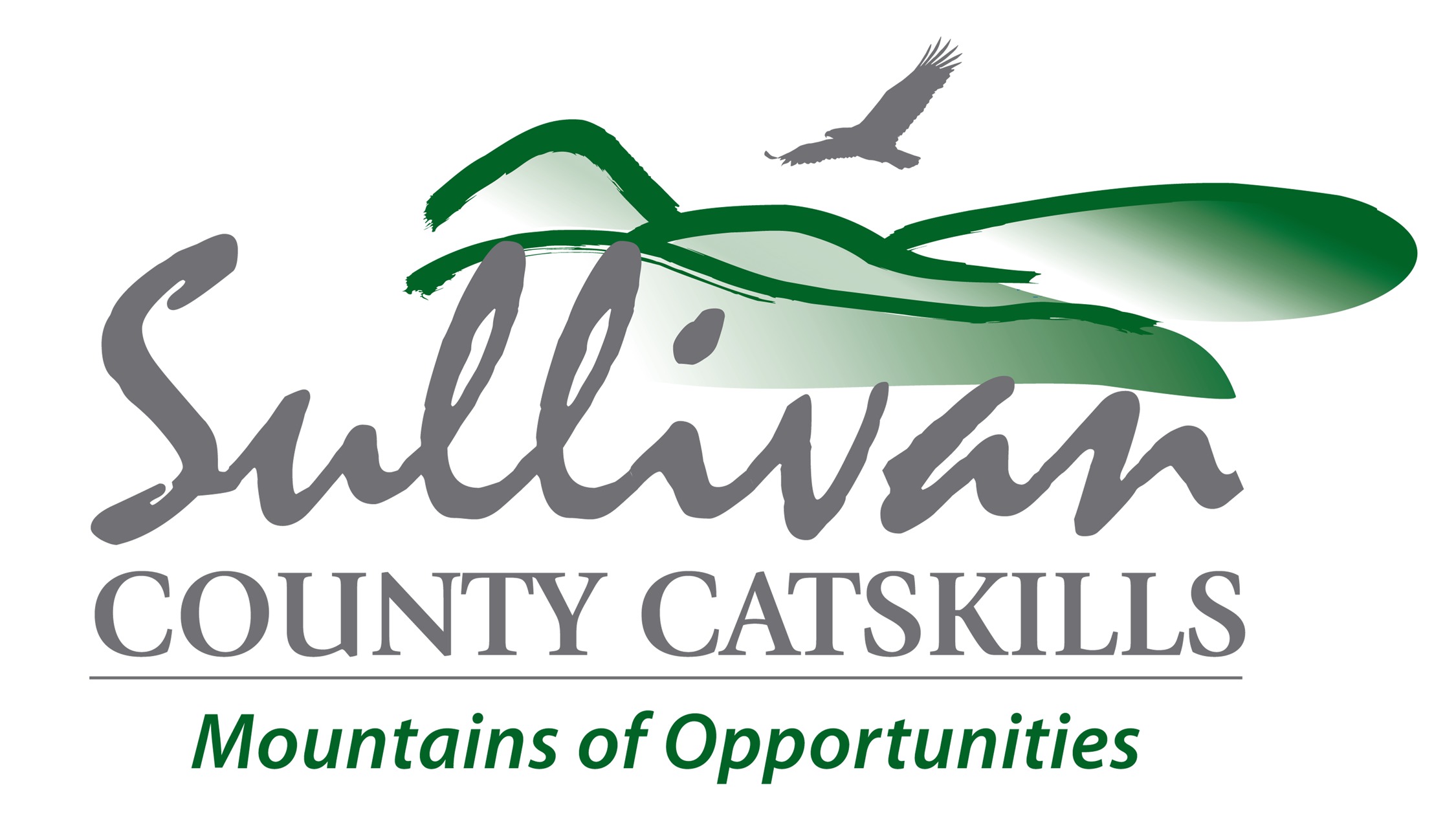 Sullivan County logo