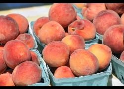 Farmer's Market peaches